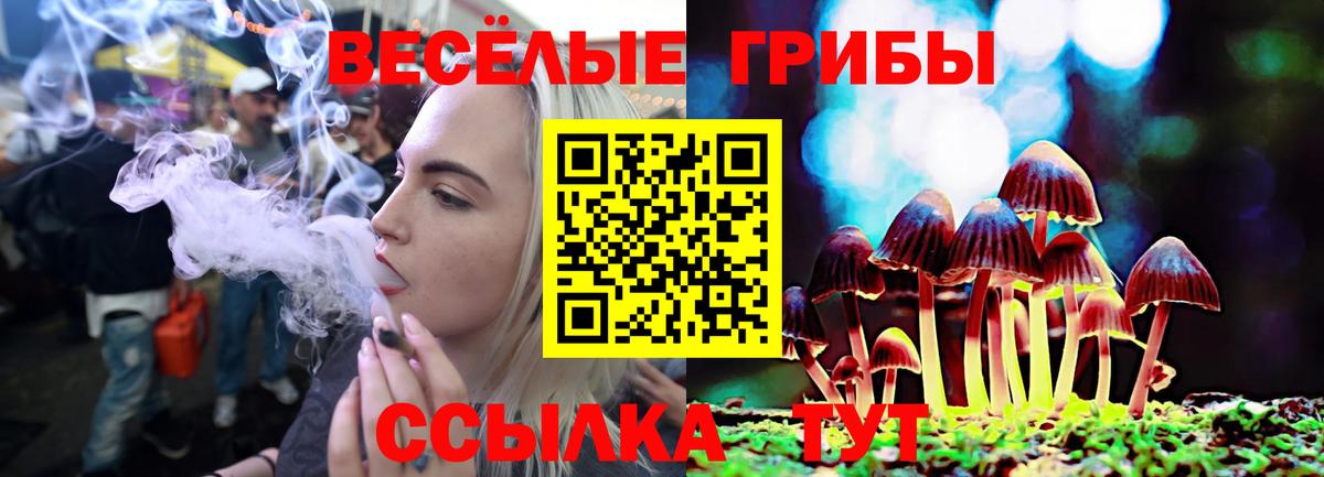 Галлюциногенные грибы Psilocybe Обь